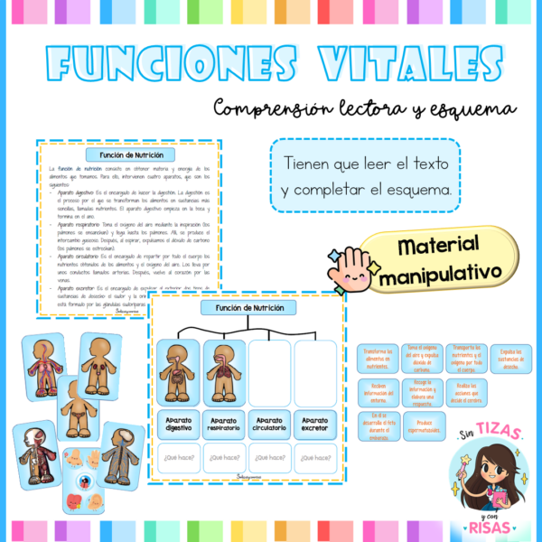 Funciones vitales (material manipulativo)