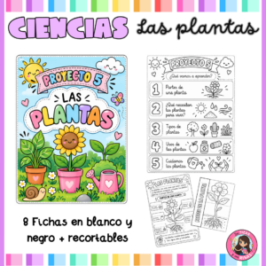 Proyecto: Las plantas (1º-2º primaria)